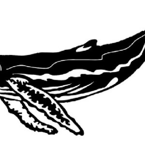 Aluminum humpback whale Wall Art, Metal Fish Art, Metal Ocean Art, Fishing Gift, Tropical Decor, Tropical Fish Art, Handmade Fish Art
