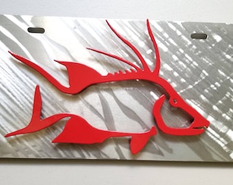 Red Hogfish Front License Plate, License Plate Fishing, Front Fish License Plate, License Plate Men, License Plate Art, Plate Frame