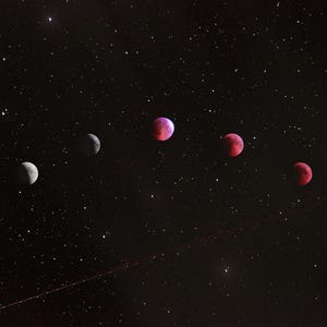 Your Moon Sign Trauma Astrology Report