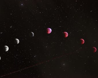 Your Moon Sign Trauma Astrology Report