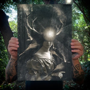 May include: A rectangular art print in shades of black, white, and gray featuring a person with large deer antlers and a glowing circular light over their eyes. Two dark birds are perched near the person, who wears a simple, draped garment.