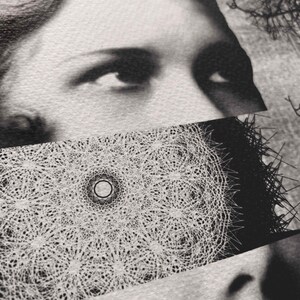 Puede incluir: Una impresi&oacute;n de collage en blanco y negro que presenta una franja horizontal de un patr&oacute;n de mandala geom&eacute;trico blanco detallado superpuesto sobre el retrato de un rostro. La composici&oacute;n incluye una secci&oacute;n de un ojo y frente sobre el patr&oacute;n.