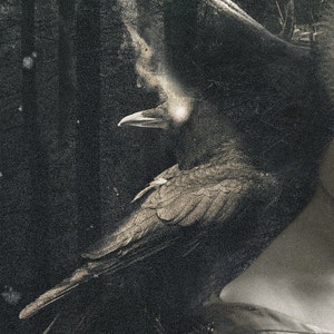 May include: A double exposure art print featuring a dark raven with a glowing light near its beak, layered over a silhouette of a forest with tall trees. The composition includes a portion of a garment with visible fabric folds in the lower corner.