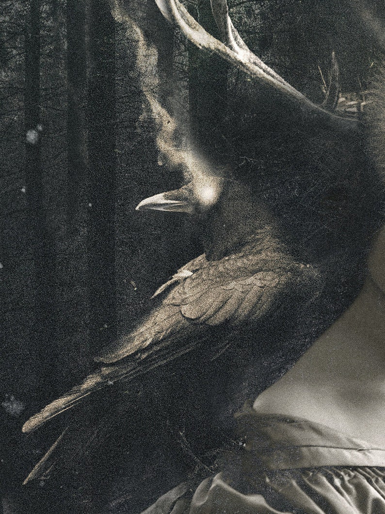 May include: A double exposure art print featuring a dark raven with a glowing light near its beak, layered over a silhouette of a forest with tall trees. The composition includes a portion of a garment with visible fabric folds in the lower corner.