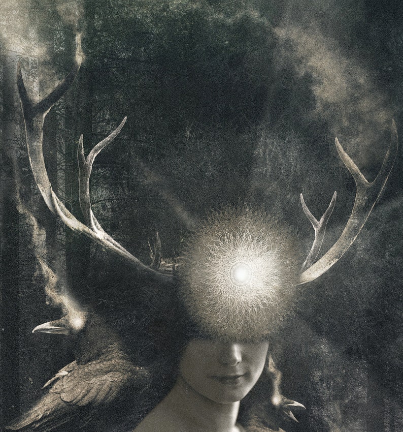 May include: A digital art print featuring a person with large deer antlers emerging from their head. A glowing, circular, starburst-like light sits between the antlers. A dark raven is perched near the shoulder, set against a dark, moody forest.