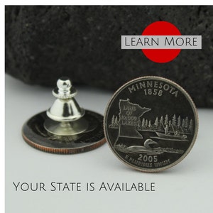 Minnesota Quarter Lapel Pin: State Souvenir, Travel Gift