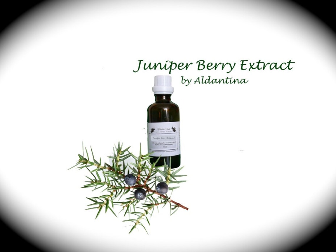 Organic Juniper Berry Herbal Tincture/extract Alcohol Free Etsy