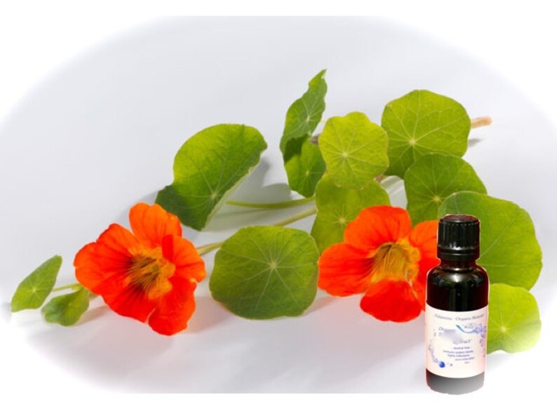 Organic Nasturtium Herbal Tincture/Extract alcohol free Etsy