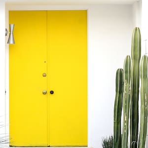 Può includere: Una doppia porta giallo brillante su un muro bianco, con un'applique argentata a sinistra. A destra, alti cactus verdi con strisce bianche. La porta ha una maniglia nera e serrature argentate.