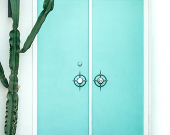 Blue Midcentury Door with Cactus of Palm Springs