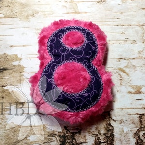ITH Number 8  Plush Digital Embroidery Design - FOUR different sizes, two different applique borders!5