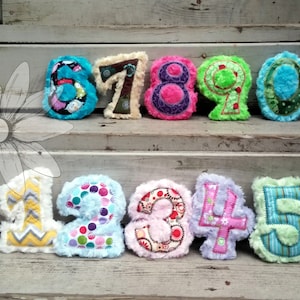 ITH Number 0-9  Plush Digital Embroidery Designs - FOUR different sizes, two different applique borders!