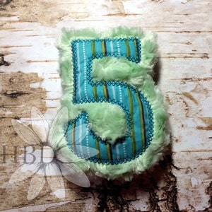 ITH Number 5  Plush Digital Embroidery Design - FOUR different sizes, two different applique borders!5
