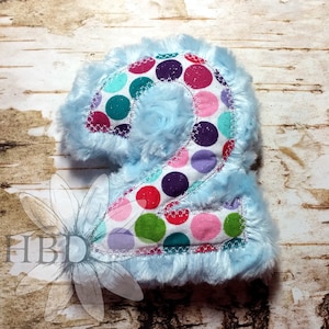 ITH Number 2 Plush Digital Embroidery Design - FOUR different sizes, two different applique borders!