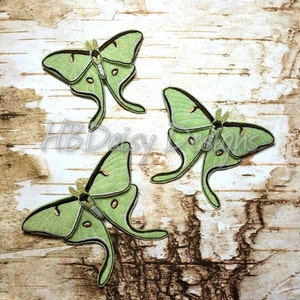 Luna Moth Bow Digital Embroidery Design - Three different sizes!