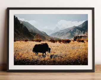 YAK VALLEY - Print, Framed, Canvas - Annapurna Circuit Nepal Mountain Landscape Photo - Orignial Wall Art, Home Decor, Travel Gift