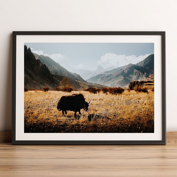 YAK VALLEY - Print, Framed, Canvas - Annapurna Circuit Nepal Mountain Landscape Photo - Orignial Wall Art, Home Decor, Travel Gift