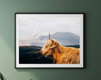 SUPER COW - Print, Framed, Canvas - Highland Cattle Scotland Nature Photo - Original Wall Art, Large Home Decor, Gift