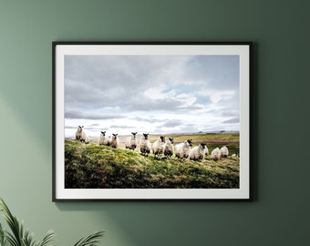 Flock of Sheep Print - Original UK Landscape Photo, Green Home Decor, Farming Country Housewarming Gift, Unframed, Framed or Canvas