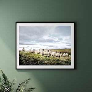 Flock of Sheep Print - Original UK Landscape Photo, Green Home Decor, Farming Country Housewarming Gift, Unframed, Framed or Canvas