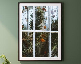 Botanical Greenhouse Window Print: Sheffield Garden Pavilion Wall Art