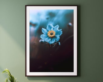 Blue Flower Wall Art: Botanical Nature Photo Print