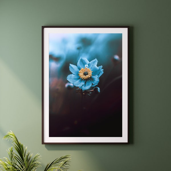 BLUE STAR - Print, Framed, Canvas - Abstract Flower Plant Botanical Nature Photo - Original Wall Art, Dark Home Decor, Gift
