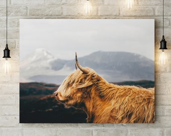 HIGHLAND COW CANVAS - 30"x20" Large Stretched Canvas Ready To Hang - Original Wall Art, Home Decor