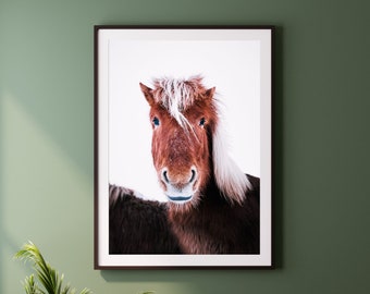 Impresión de caballo de Islandia, arte de caballo impreso, fotografía de pony de Islandia, impresión animal minimalista, impresión de bellas artes, arte de pared grande, impresiones de la naturaleza