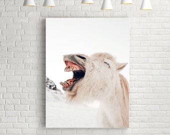 THE LAUGHING PONY - Print, Framed, Canvas - Icelandic White Horse Landscape Nature Animal Photo - Original Wall Art, Farm Home Decor, Gift