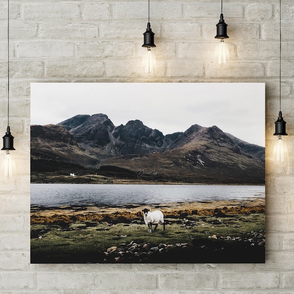 SHEEP & THE MOUNTAIN - Scotland Print, Isle of Skye Landscape Photo, Mountain Print, Sheep Gift, Large Canvas Home Decor, Original Fine Art