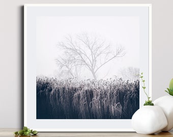 Winter Landscape Print - Lone Tree in Snow and Frost. Original Fine Art Print, Framed Print or Canvas. White minimalist home decor gift.