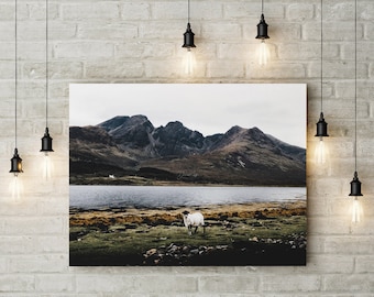 SHEEP & THE MOUNTAIN - Scotland Print, Isle of Skye Landscape Photo, Mountain Print, Sheep Gift, Large Canvas Home Decor, Original Fine Art