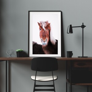 Iceland Horse Print, Printed Horse Art, Iceland Pony Photograph, Minimalist Animal Print, Fine Art Print, Large Wall Art, Nature Prints image 5