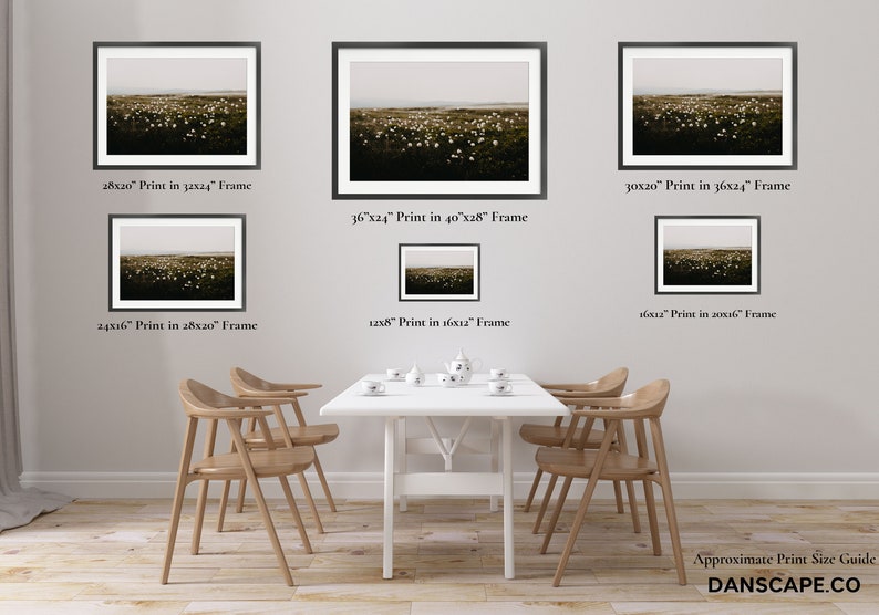 Cotton Grass Nature Photography Print: Calming Farmhouse Wall Art image 7