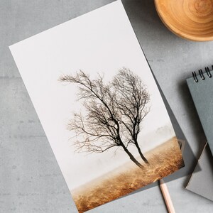 Fine Art Tree Print, Landscape Photo, Peak District Moorland, Lone ...