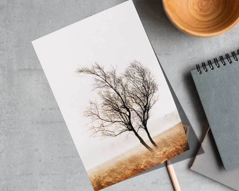 Fine Art Tree Print Landscape Photo Peak District Moorland - Etsy UK