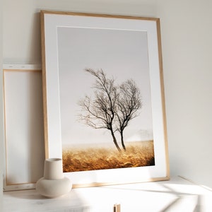 Fine Art Tree Print, Landscape Photo, Peak District Moorland, Lone ...