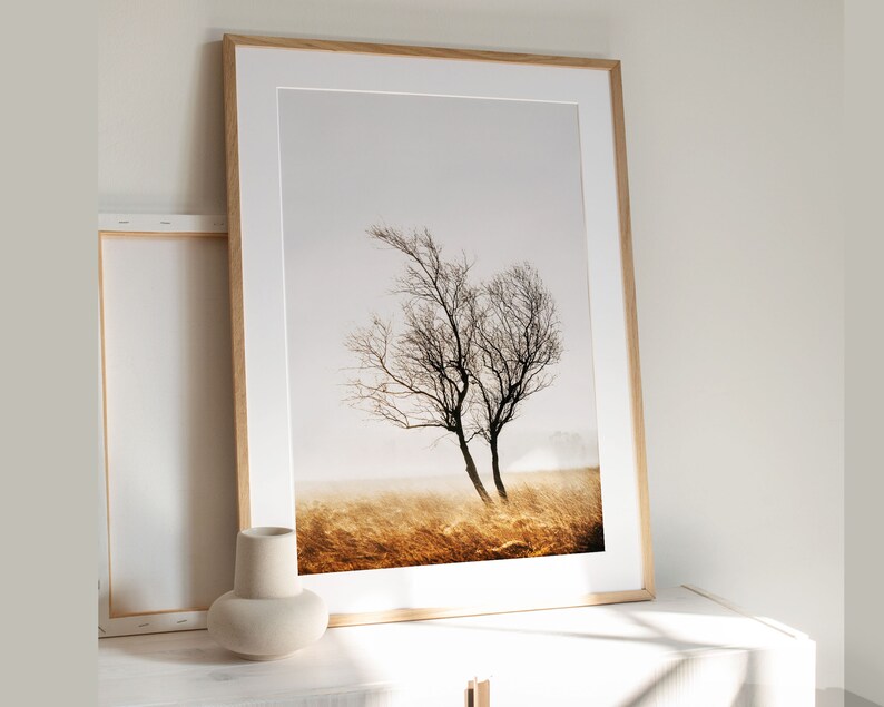 Fine Art Tree Print Landscape Photo Peak District Moorland - Etsy UK