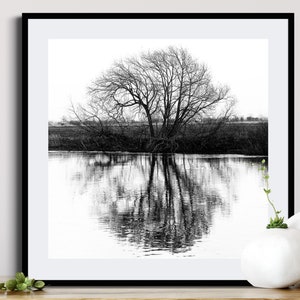 Black and White Tree Reflection Print: Minimalist Square Wall Art