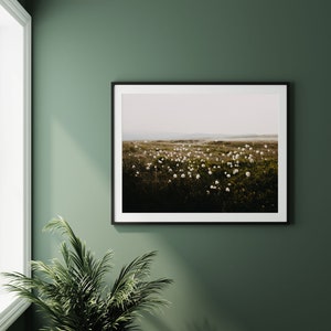 Cotton Grass Nature Photography Print: Calming Farmhouse Wall Art image 3