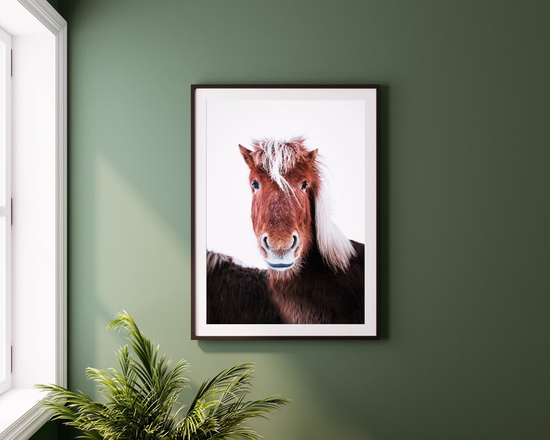 Iceland Horse Print, Printed Horse Art, Iceland Pony Photograph, Minimalist Animal Print, Fine Art Print, Large Wall Art, Nature Prints image 1