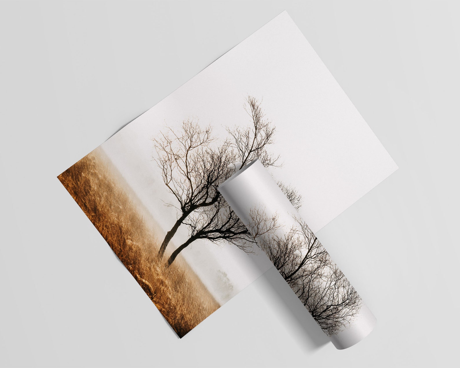 Fine Art Tree Print Landscape Photo Peak District Moorland - Etsy UK