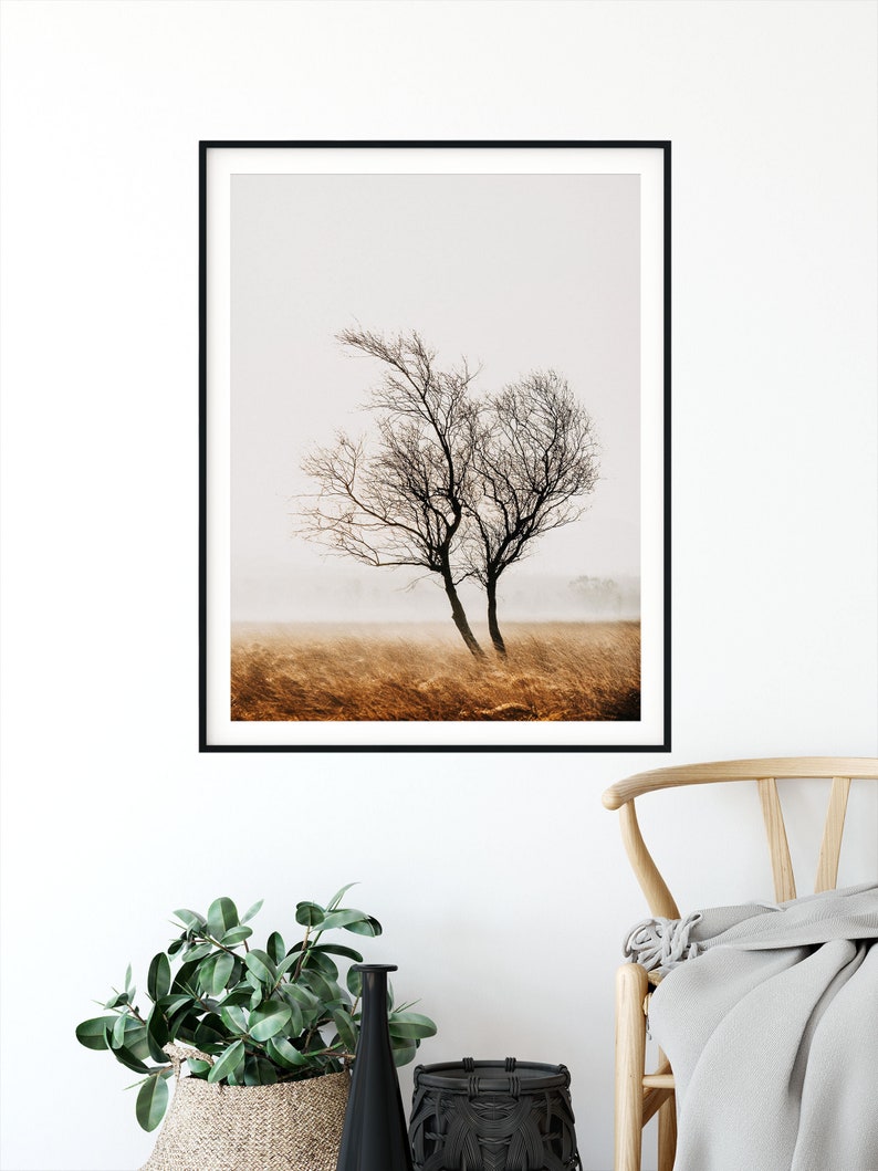 Fine Art Tree Print Landscape Photo Peak District Moorland - Etsy UK