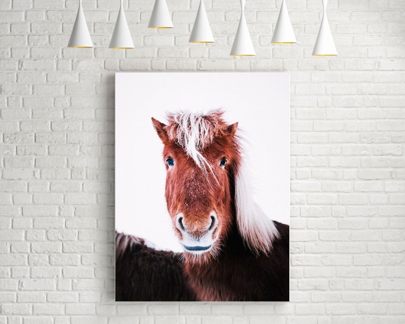 Iceland Horse Print, Printed Horse Art, Iceland Pony Photograph, Minimalist Animal Print, Fine Art Print, Large Wall Art, Nature Prints image 7