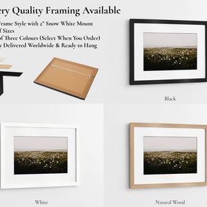 Cotton Grass Nature Photography Print: Calming Farmhouse Wall Art image 6