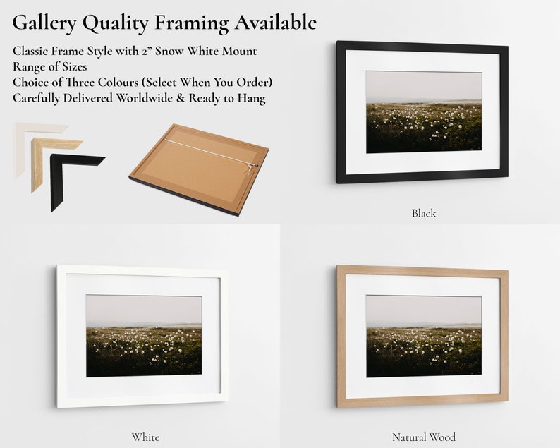 Cotton Grass Nature Photography Print: Calming Farmhouse Wall Art image 6