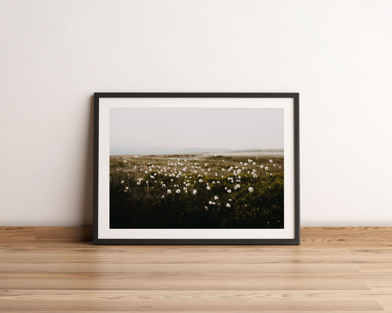 Cotton Grass Nature Photography Print: Calming Farmhouse Wall Art image 5