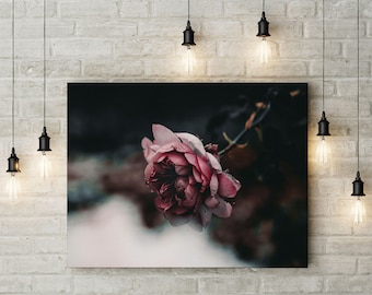 Pink Rose Print: Botanical Garden Photography, Floral Wall Art