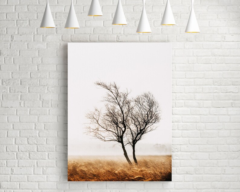 Fine Art Tree Print Landscape Photo Peak District Moorland - Etsy UK